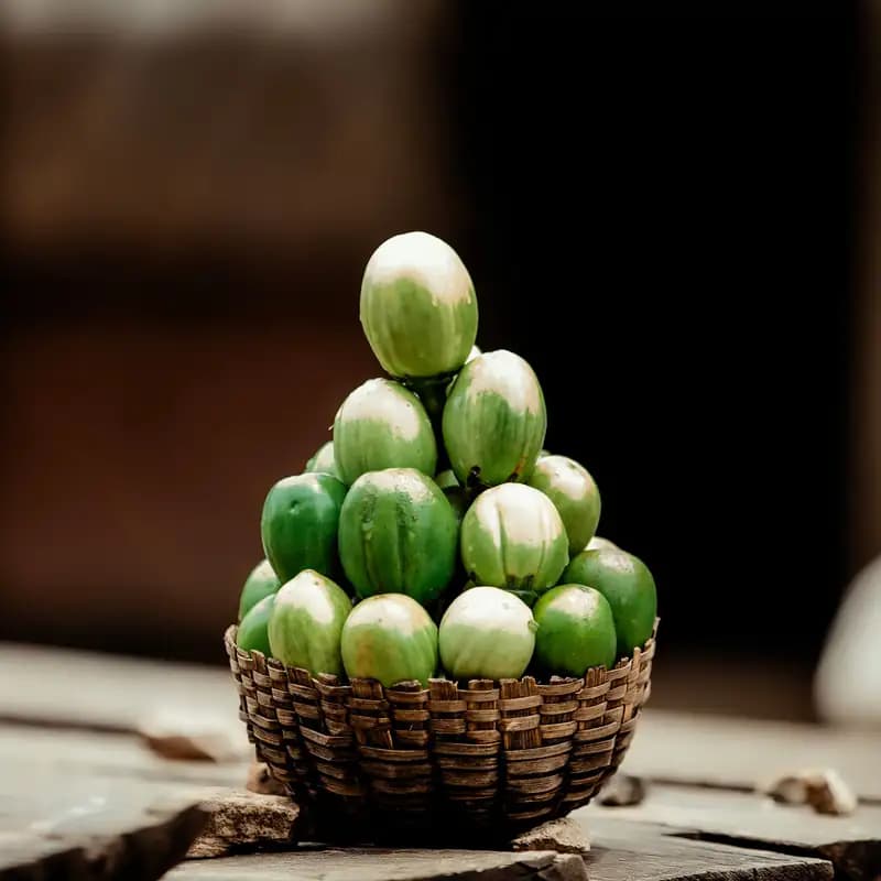 Fresh & pure